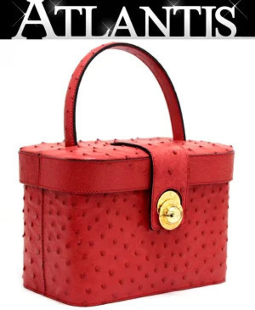 Celine Vanity Bag Red Ostrich Leather